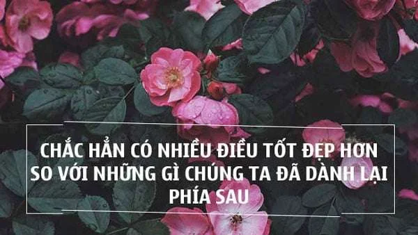 45 tus hay về cuộc sống giúp bạn luôn yêu đời