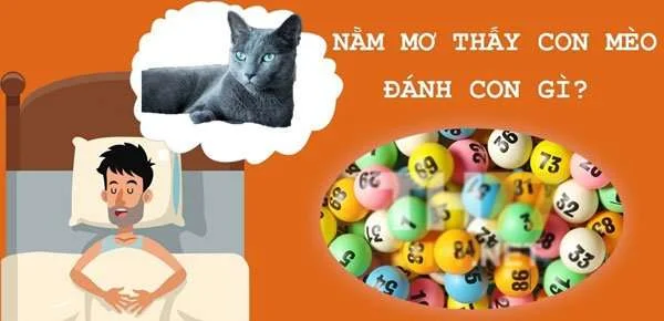 Nằm mơ thấy mèo đánh số mấy, đánh con gì chính xác 100%