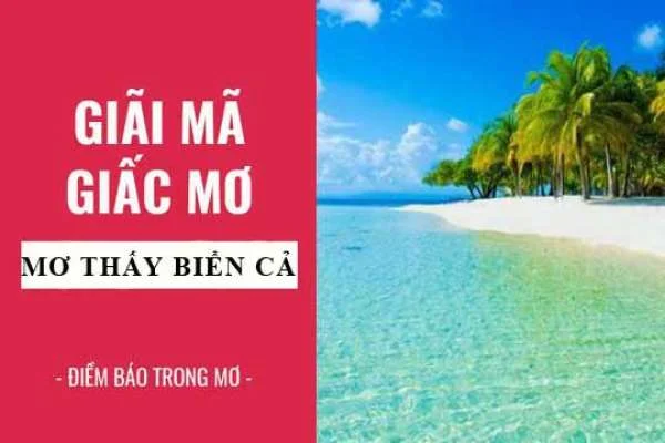 Mơ Thấy Biển Cạn thì Đánh Con Gì chuẩn cho dễ nổ cả lô lẫn đề?