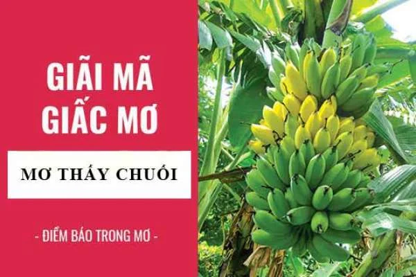 Mơ thấy buồng chuối thì đánh con gì là trúng lớn