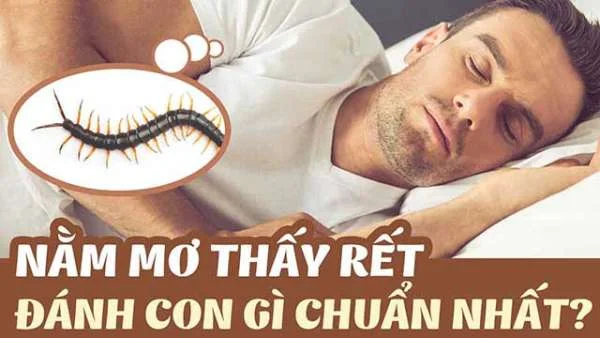 Mơ Thấy Rết Đánh Con Gì Dễ Trúng Lớn Nhất?