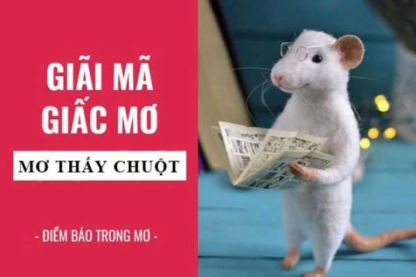 Con chuột số mấy? Mơ thấy chuột không đánh bộ số này thì phí cả đời