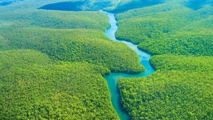 Rừng Amazon khi nhìn từ trên cao xuống