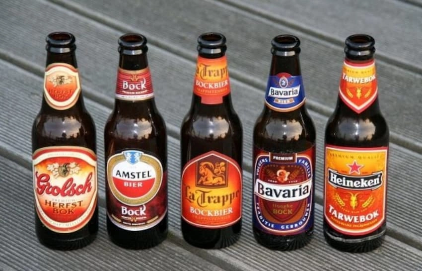 Bia Hà Lan - hương vị độc đáo đáng 