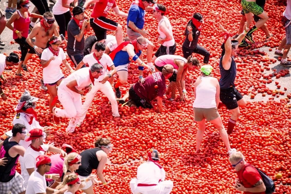 Lễ hội ném cà chua ở Tây Ban Nha