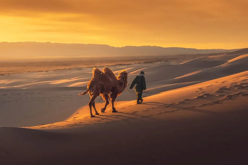 Gobi là sa mạc lớn nhất Châu Á