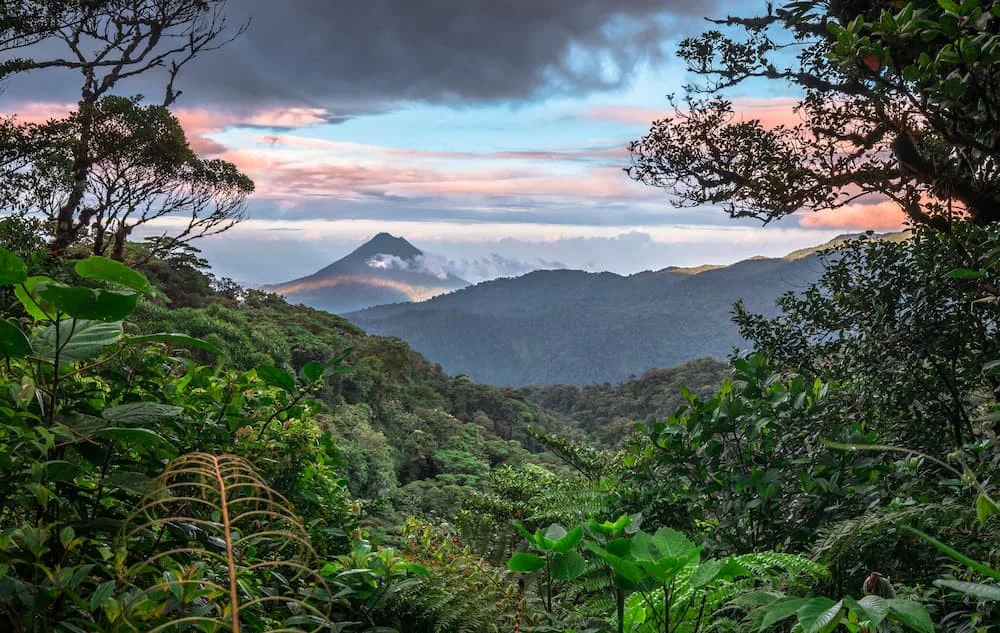 Rừng mây Monteverde