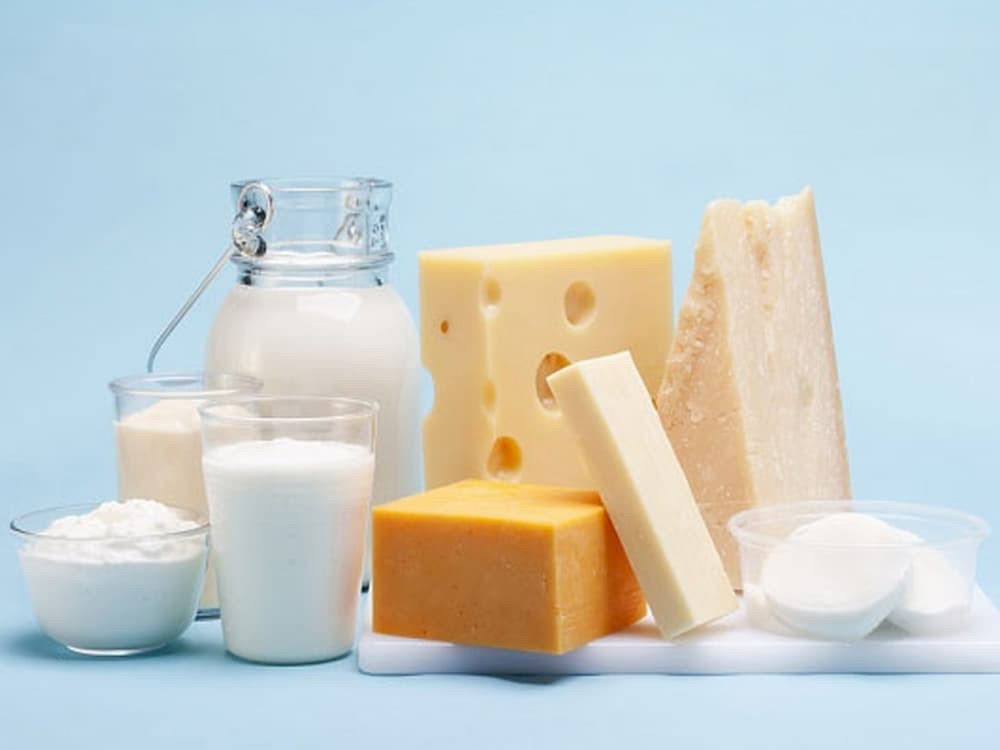 Sữa là một trong những sản phẩm xuất khẩu chính
